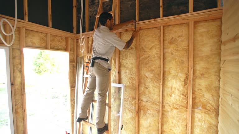 Best Insulation Air Sealing  in Rden City, GA